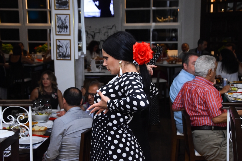 Casa Jose Fiesta Flamenca